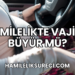 Hamilelikte Vajina Büyür mü?
