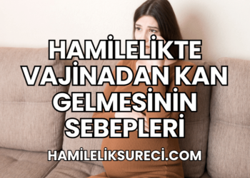 Hamilelikte Vajinadan Kan Gelmesinin Sebepleri