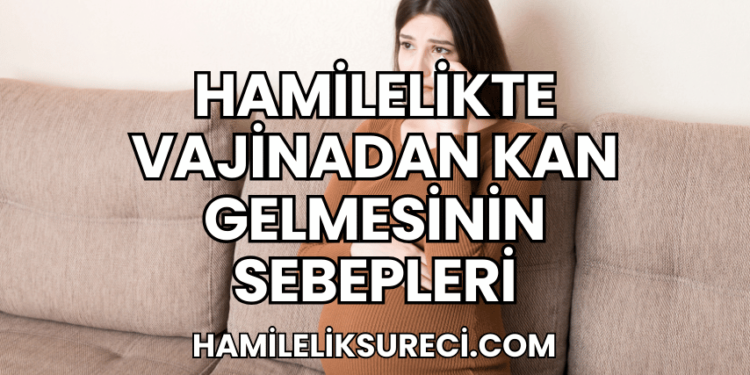 Hamilelikte Vajinadan Kan Gelmesinin Sebepleri