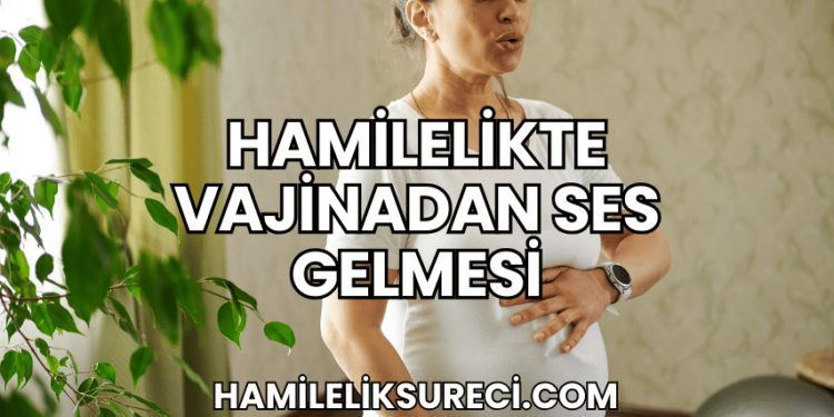 Hamilelikte Vajinadan Ses Gelmesi