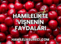 Hamilelikte Vişnenin Faydaları