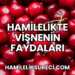 Hamilelikte Vişnenin Faydaları