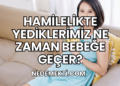 Hamilelikte Yediklerimiz Ne Zaman Bebeğe Geçer?