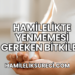 Hamilelikte Yenmemesi Gereken Bitkiler