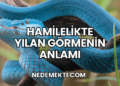 Hamilelikte Yılan Görmenin Anlamı
