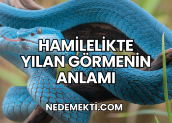 Hamilelikte Yılan Görmenin Anlamı