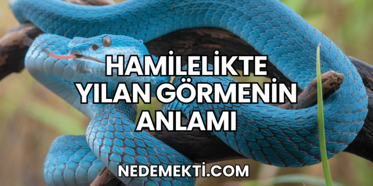Hamilelikte Yılan Görmenin Anlamı