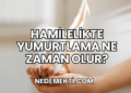 Hamilelikte Yumurtlama Ne Zaman Olur?