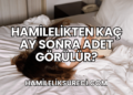 Hamilelikten Kaç Ay Sonra Adet Görülür?