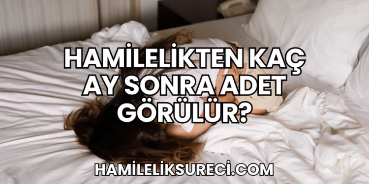 Hamilelikten Kaç Ay Sonra Adet Görülür?