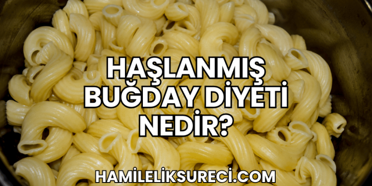 Haşlanmış Buğday Diyeti Nedir?