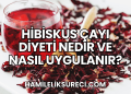 Hibiskus Çayı Diyeti Nedir ve Nasıl Uygulanır?