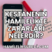 Zencefilin Hamilelikte Zararları Nelerdir?