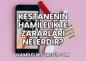 Kestanenin Hamilelikte Zararları Nelerdir?