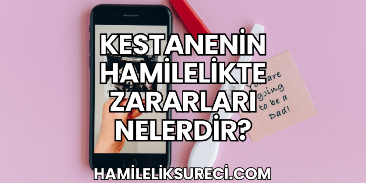 Kestanenin Hamilelikte Zararları Nelerdir?