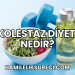 Kolestaz Diyeti Nedir?