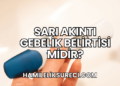 Sarı Akıntı Gebelik Belirtisi midir?