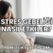 Stres Gebeliği Nasıl Etkiler?