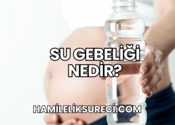Su Gebeliği Nedir?