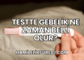 Testte Gebelik Ne Zaman Belli Olur?
