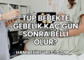 Tüp Bebekte Gebelik Kaç Gün Sonra Belli Olur?