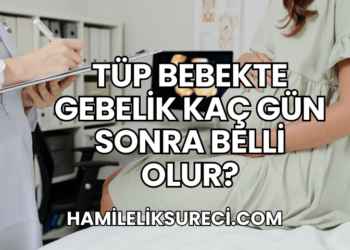 Tüp Bebekte Gebelik Kaç Gün Sonra Belli Olur?