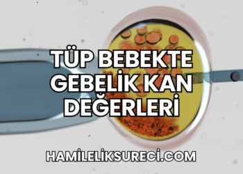 Tüp Bebekte Gebelik Kan Değerleri