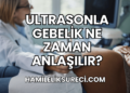 Ultrasonla Gebelik Ne Zaman Anlaşılır?