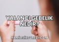 Yalancı Gebelik Nedir?