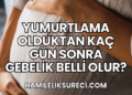 Yumurtlama Olduktan Kaç Gün Sonra Gebelik Belli Olur?