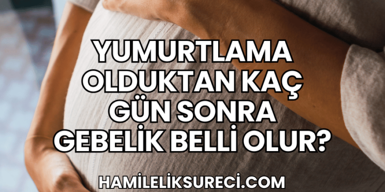 Yumurtlama Olduktan Kaç Gün Sonra Gebelik Belli Olur?