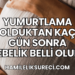 Yumurtlama Olduktan Kaç Gün Sonra Gebelik Belli Olur?
