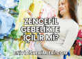 Zencefil Gebelikte İçilir mi?
