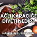 yağlı karaciğer diyeti Nedir?