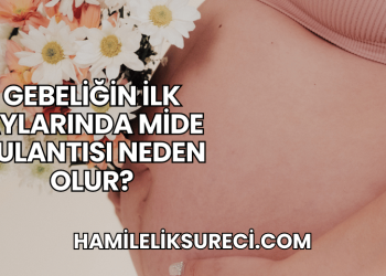 Gebeliğin İlk Aylarında Mide Bulantısı Neden Olur?