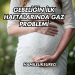 Gebeliğin İlk Haftalarında Gaz Problemi
