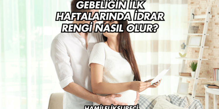 Gebeliğin İlk Haftalarında İdrar Rengi Nasıl Olur?