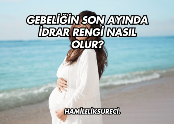 Gebeliğin Son Ayında İdrar Rengi Nasıl Olur?