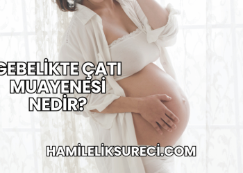 Gebelikte Çatı Muayenesi Nedir?