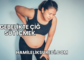 Gebelikte Çiğ Süt İçmek