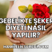 Gebelikte Şeker Diyeti Nasıl Yapılır?