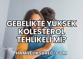 Gebelikte Yüksek Kolesterol Tehlikeli mi?