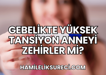 Gebelikte Yüksek Tansiyon Anneyi Zehirler mi?