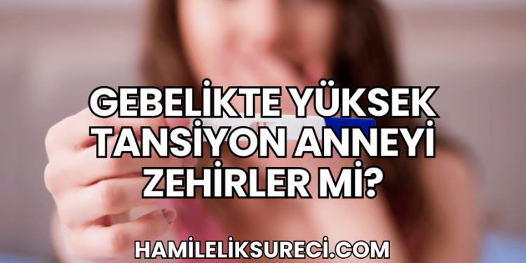 Gebelikte Yüksek Tansiyon Anneyi Zehirler mi?