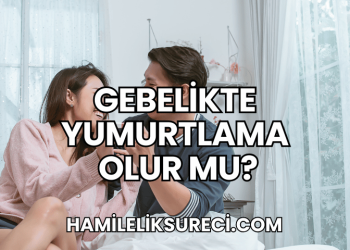Gebelikte Yumurtlama Olur mu?