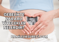 Gebelikte Zararlı Yiyecekler Nelerdir?