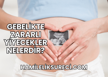 Gebelikte Zararlı Yiyecekler Nelerdir?