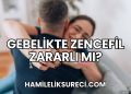 Gebelikte Zencefil Zararlı mı?