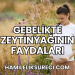 Gebelikte Zeytinyağının Faydaları