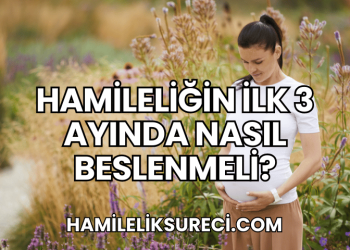 Hamileliğin İlk 3 Ayında Nasıl Beslenmeli?